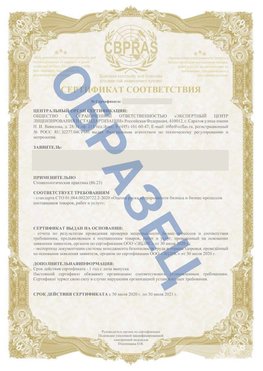 Образец Сертификат СТО 01.064.00220722.2-2020 Корсаков Сертификат СТО 01.064.00220722.2-2020 